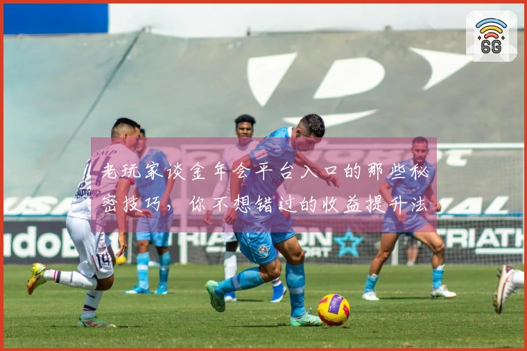 老玩家谈金年会平台入口的那些秘密技巧，你不想错过的收益提升法！