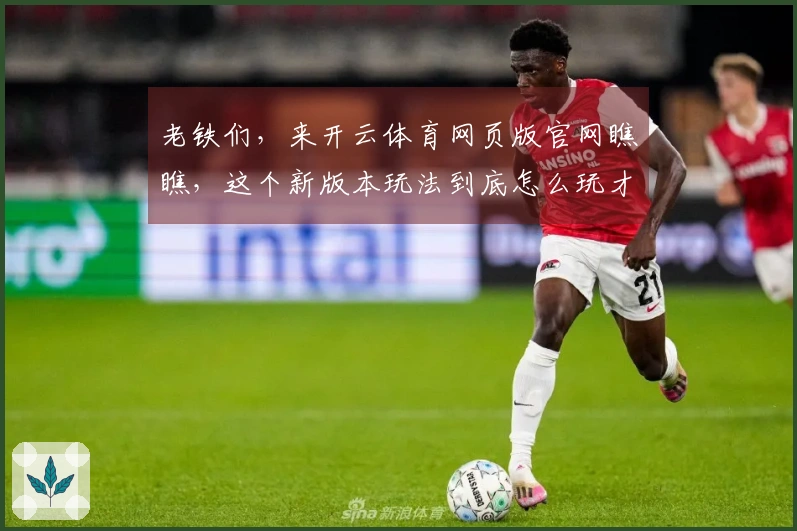 老铁们，来开云体育网页版官网瞧瞧，这个新版本玩法到底怎么玩才效率翻倍！