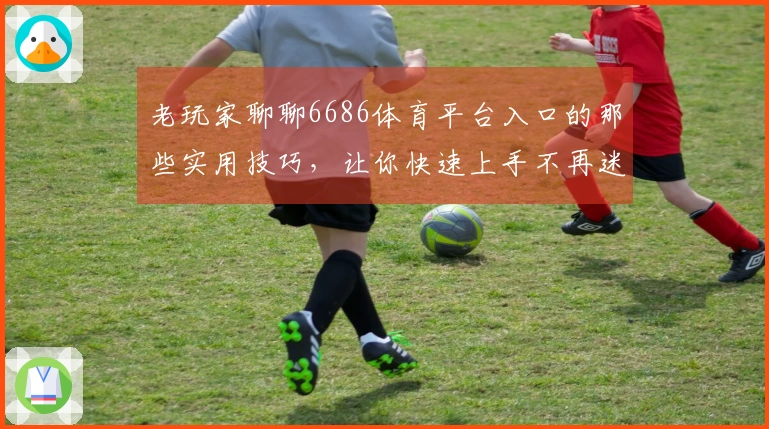 老玩家聊聊6686体育平台入口的那些实用技巧，让你快速上手不再迷茫
